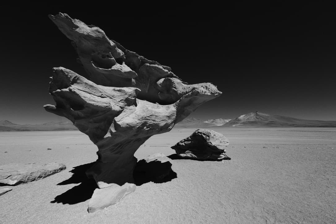 a wind-eroded rock shaped like a tree, in black and white