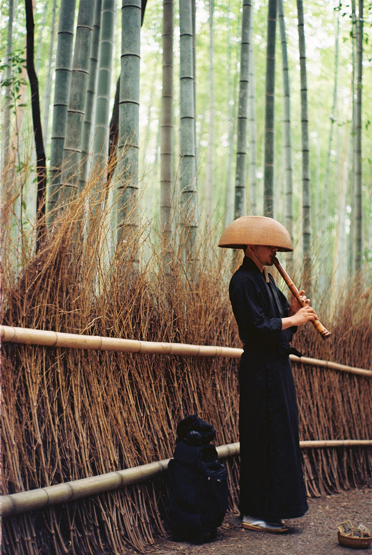 a person in a woven basket hat plays a bamboo flute beside a fence of dry brushwood, in a bamboo forest
