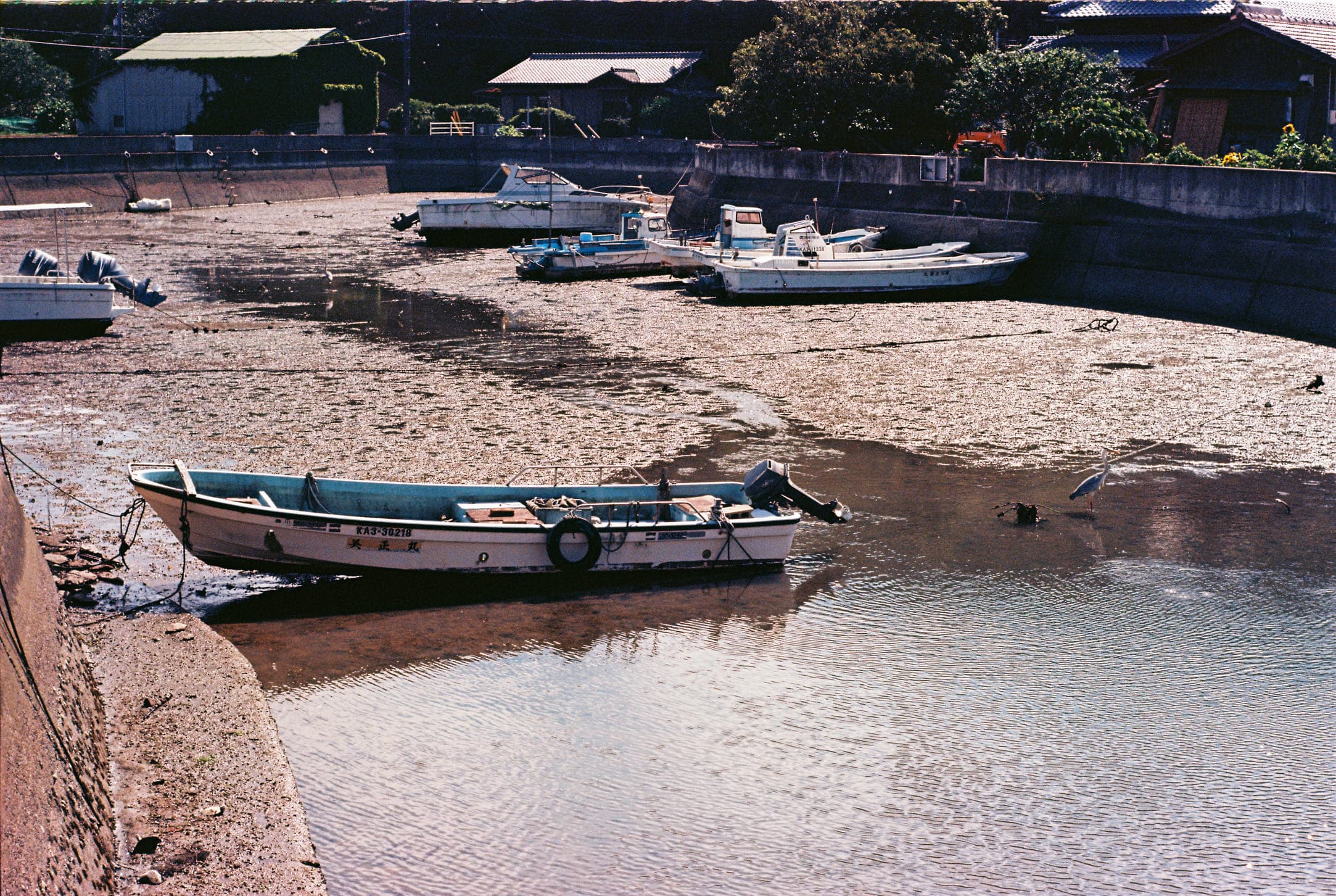 small boats resting on the mud of a harbor at low tide, with houses behind